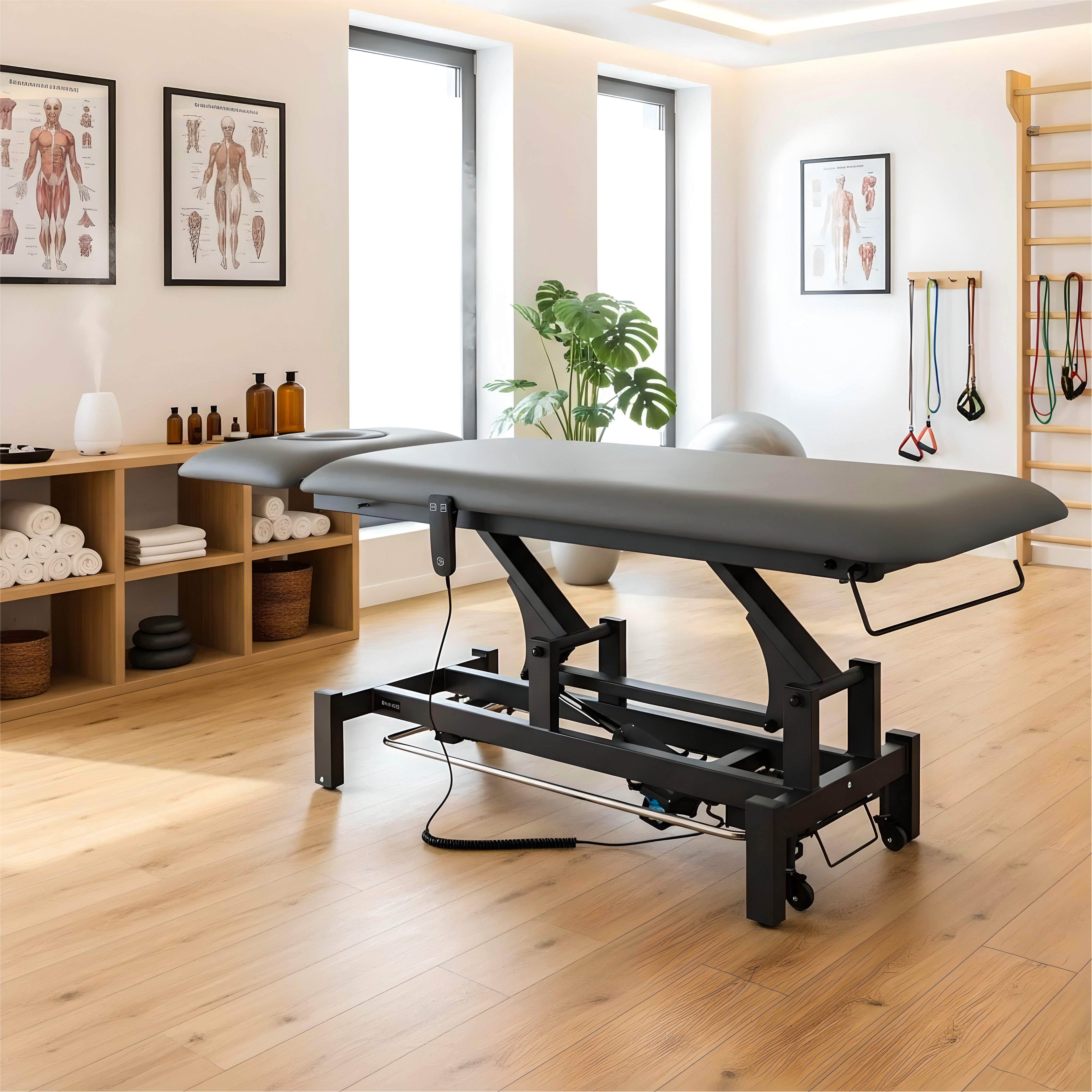 Fortis 2 ERGO treatment table, electric height adjustment with foot control bar, ERGO cushion, k722 gray